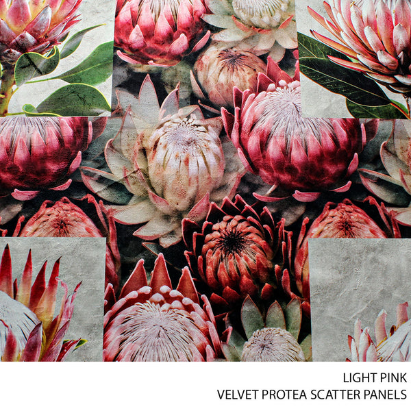 VELVET PROTEA SCATTER PANELS 140CM L/PINK ROLL ROLL 001
