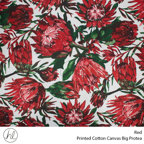 C/D Cotton Canvas Prt Big Protea