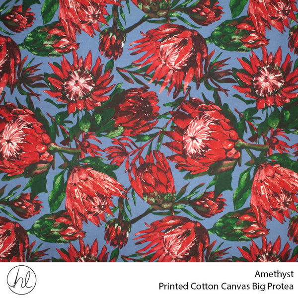 C/D Cotton Canvas Prt Big Protea