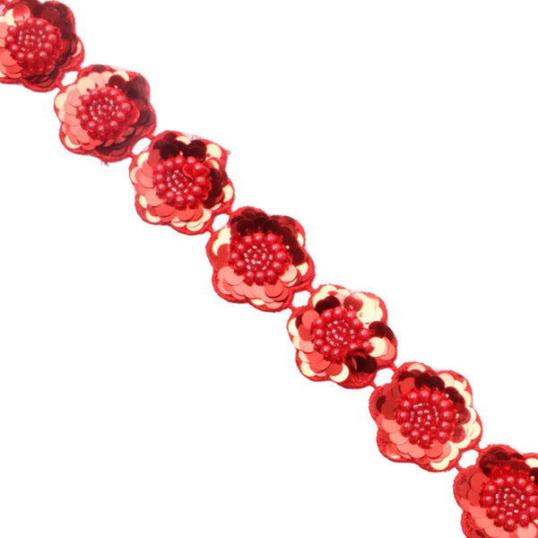 BRAID FANCY  RED FREE