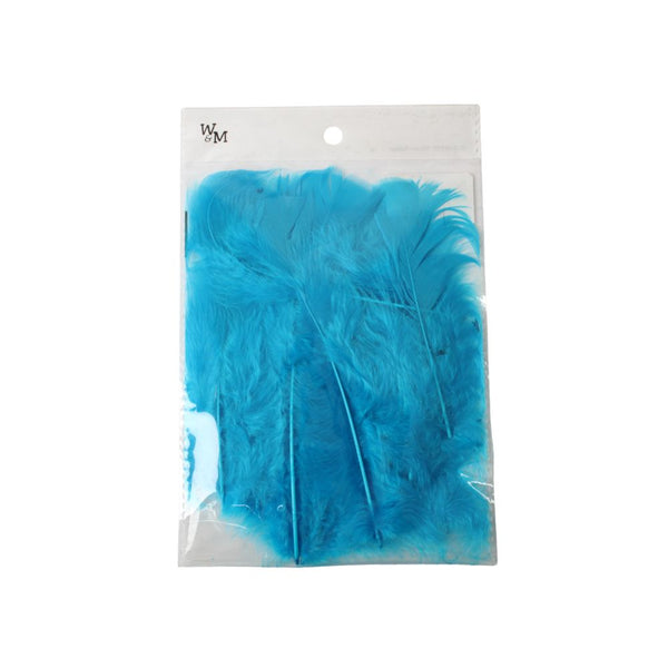 FEATHERS TURKEY TURQUISE CB2762