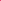 Plain Trilobal 150cm Fuschia Roll 001