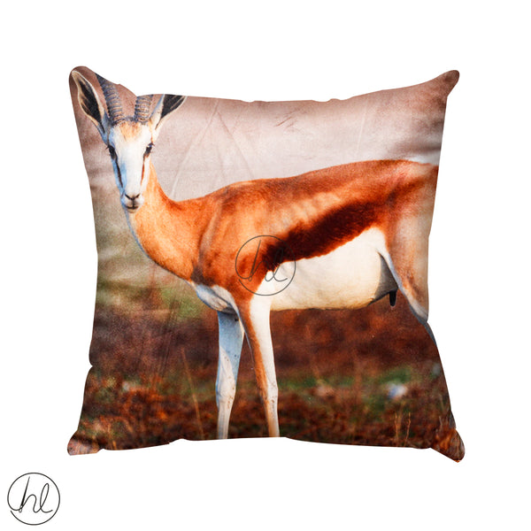 Scatter Cushion Springbok