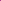 Dty Plain 150cm Purple Roll 001