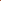 Cotton Poplin 150cm Rust Roll 001