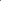 Cotton Poplin Print 2754-12 Fuchsia Roll 003