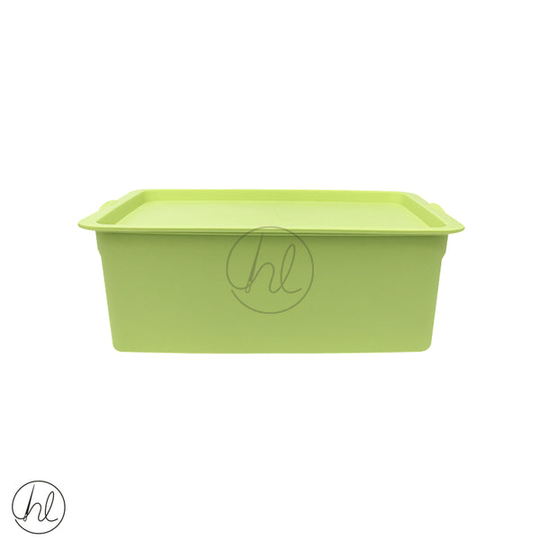 MEDIUM STORAGE CONTAINER (ABY-3514) (SAVE R40)