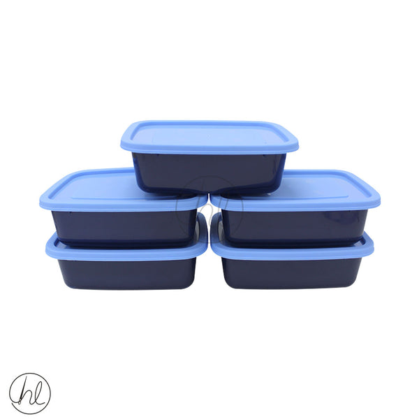 800ML RECTANGLE CONTAINER (5 PIECE)