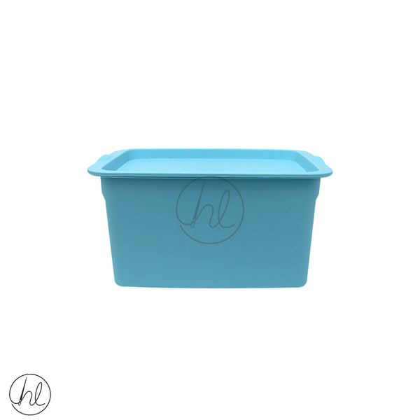 SMALL STORAGE CONTAINER (ABY-3513) (SAVE R20)