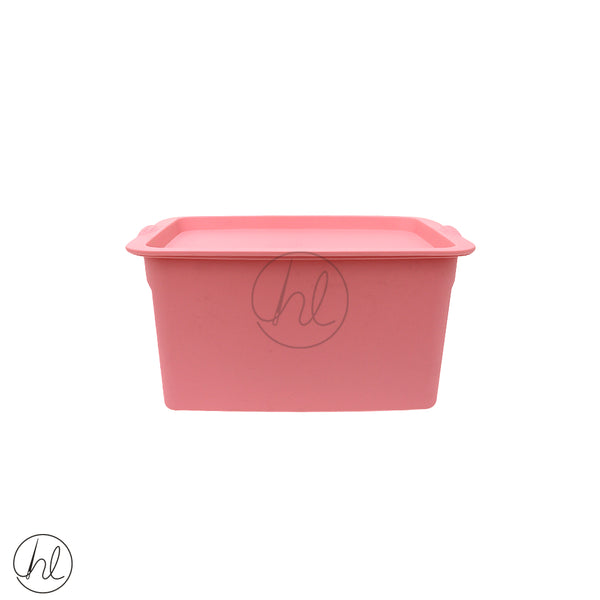 SMALL STORAGE CONTAINER (ABY-3513)